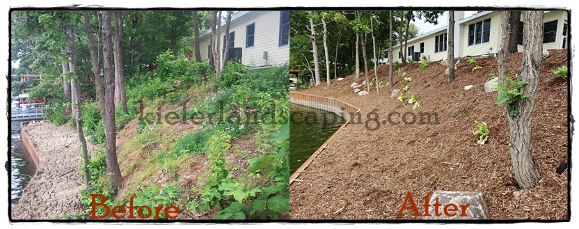 Hillside Landscaping Before and After